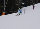 Bcoberp alica