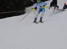 Bcoberp simon
