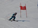 DSC 0293