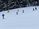 IMG 2277