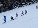 IMG 2278